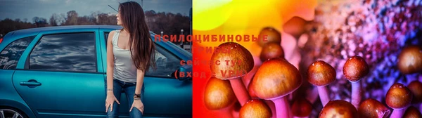 дживик Алексин