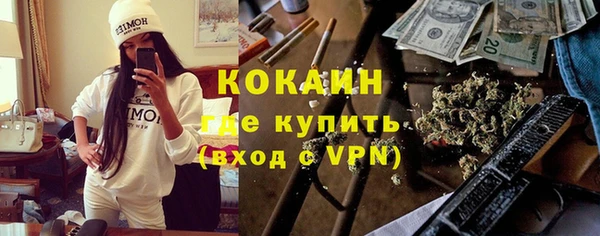 дживик Алексин
