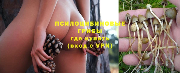 дмт Алексеевка